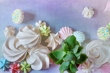 Flat lay minimal summer white meringue dessert and succulents on punchy blue pastel background with copy space