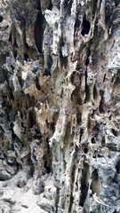 wood texture grunge pattern