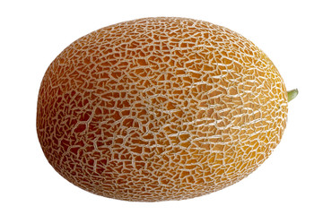 Melon isolated on white background