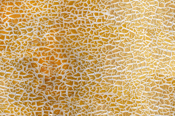 Outer shell, surface, melon bark, background