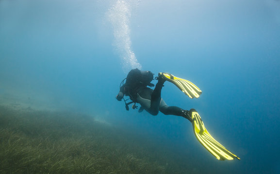 Scuba diver underwater