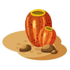 Seaweed under water plant, cartoon style, isolated on white background