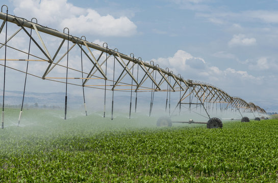 Lateral move irrigation system 