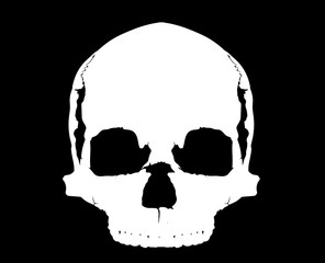 simple skull in full face