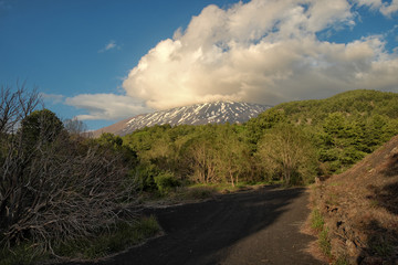Fototapeta na wymiar Etna Park Landscape, Sicily