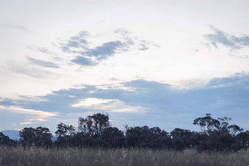 Dusk over grassy field