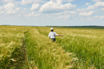 child run through the wheat field, bright sun, beautiful summer landscape