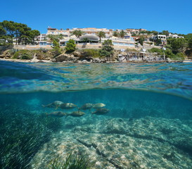 Fototapety na wymiar - Fototapeta24.pl