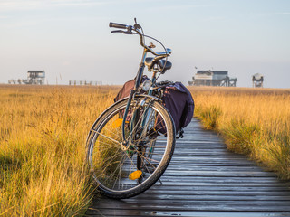 Mit dem Fahrrad an die Nordsee