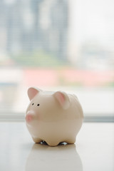 Lovely pink  piggy bank standing by the window