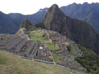 Machu Picchu Pichu