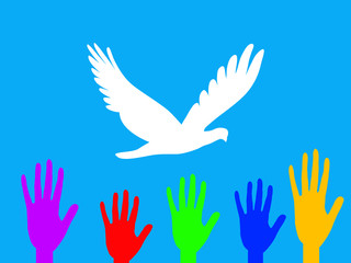 Dove and hands
