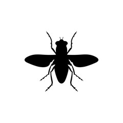 Spotted flesh fly (screwworm fly) icon
