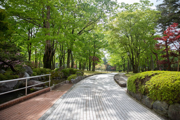walkway with street lamp in garden.