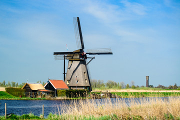 Fototapeta premium Colorful beautiful summer scene in the famous Kinderdijk canals 