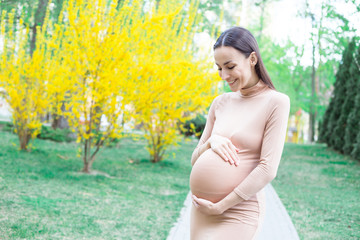 Young Pregnant Woman Standing Outdoors in City Park. Pregnant Silhouette