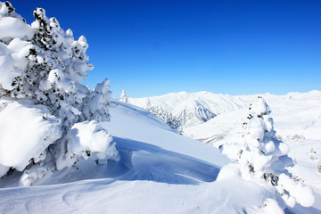 Fototapeta na wymiar Sport d'Hiver (Neige Ski Surf Hivers Vacances Avalanche Alpes Pyrénées)