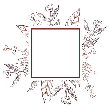 Vector frame with hand drawn  coffee plants.
