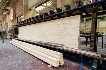 Glued pine timber beams in woodworking factory