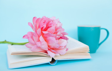 Peony flower and book on blue background