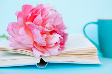 Peony flower and book on blue background