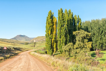 Fototapeta na wymiar Farm landscape on road R396 between Rhodes and Barkly-East