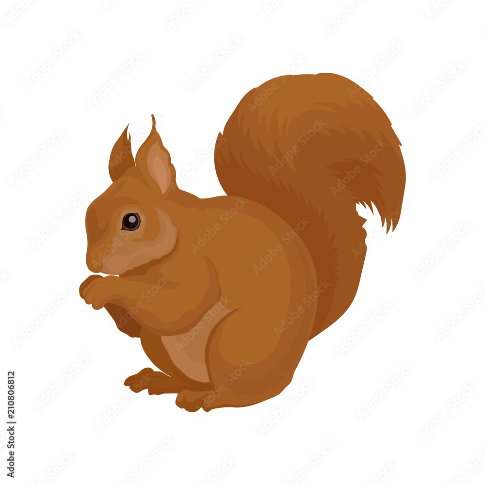 Sticker flat vector icon of brown squirrel. forest rodent with shiny eye and big fluffy tail. wildlife theme