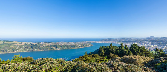 Beautiful cityscape view of the Dunedin in New Zealand. 