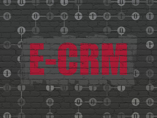 Business concept: Painted red text E-CRM on Black Brick wall background with Scheme Of Binary Code