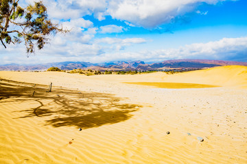 Sand dunes on the coast of Gran Canaria, Atlantic Ocean, Maspalomas Natural Preserve, Canary Islands, Spain