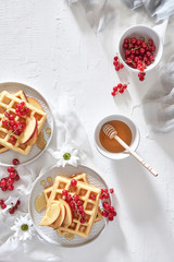 Flat lay of traditional belgian waffles with fresh fruit, nectarine, currant and honey on white background. Breakfast. Top view with copy space.