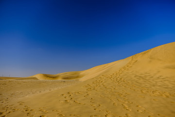 Fototapeta na wymiar Dune 7 footprints