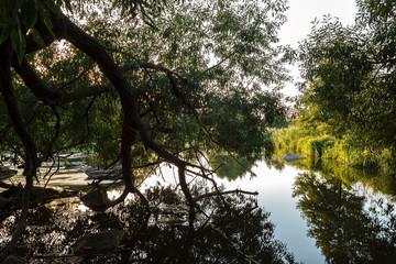 River rapids with stone and trees on the shore