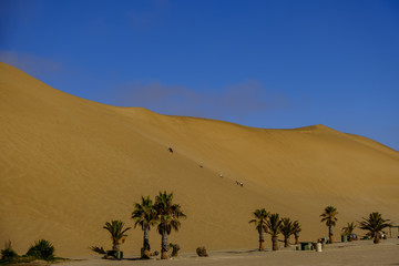 Dune 7 climbers and palm trees
