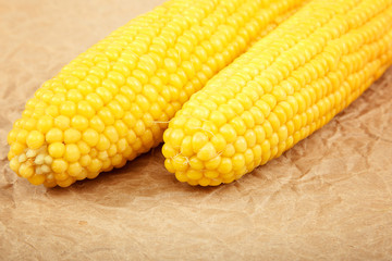 Sweet corn isolated on a white background