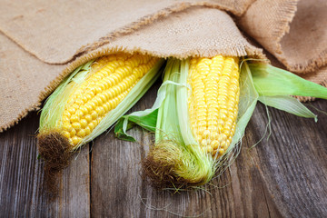 Corn on the background of the wooden planks © trotzolga