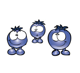 blueberries noshadows