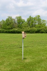 The wood birdhouse in the open grass field of the park.