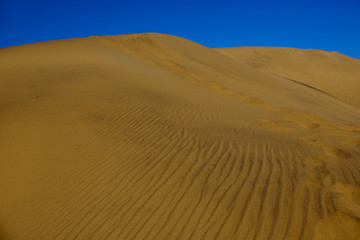Fototapeta na wymiar Dune 7 ripples