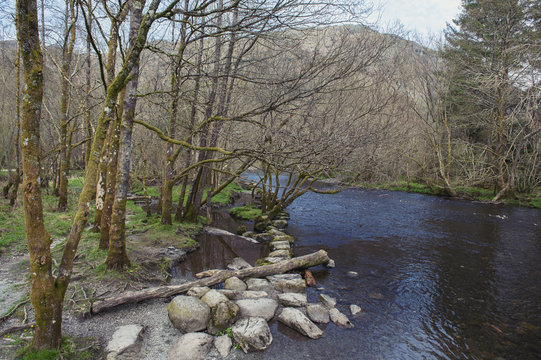 River Rothay at White Moss Walks, scenic forest recreational area in Ambleside, Lake District National Park in South Lakeland, England, UK