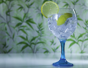 Gin tonic and lemon