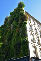 Mur végétal à Paris, France