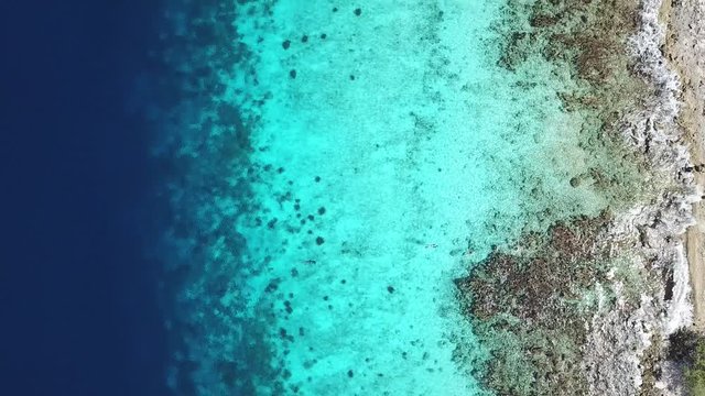 sea beach coast Bonaire island Caribbean sea aerial drone top view 4K UHD video 