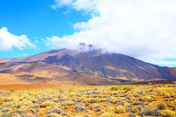 The El Teide National Park on Tenerife Island, Canary Islands, Spain