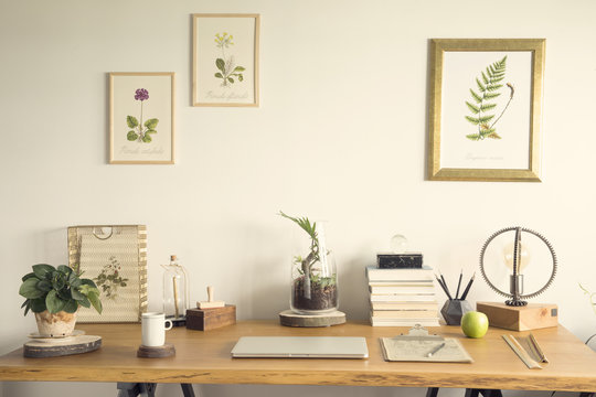 Modern home office interior with wooden desk, books, laptop, vintage illustrations of plants, lamp and office accessories.
