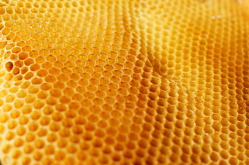 Honeycomb background from side