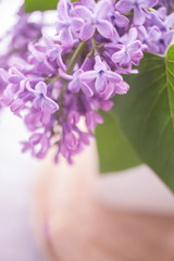 Photo with soft focus of purple blooming lilac on wooden and white blur background.