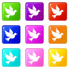 Dove icons of 9 color set isolated vector illustration