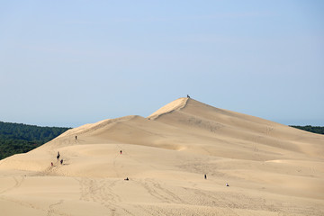 Fototapeta na wymiar Dune du Pilat 5