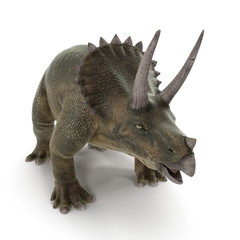 Fototapeta premium Dinozaur Triceratops na białym tle. Ilustracja 3D